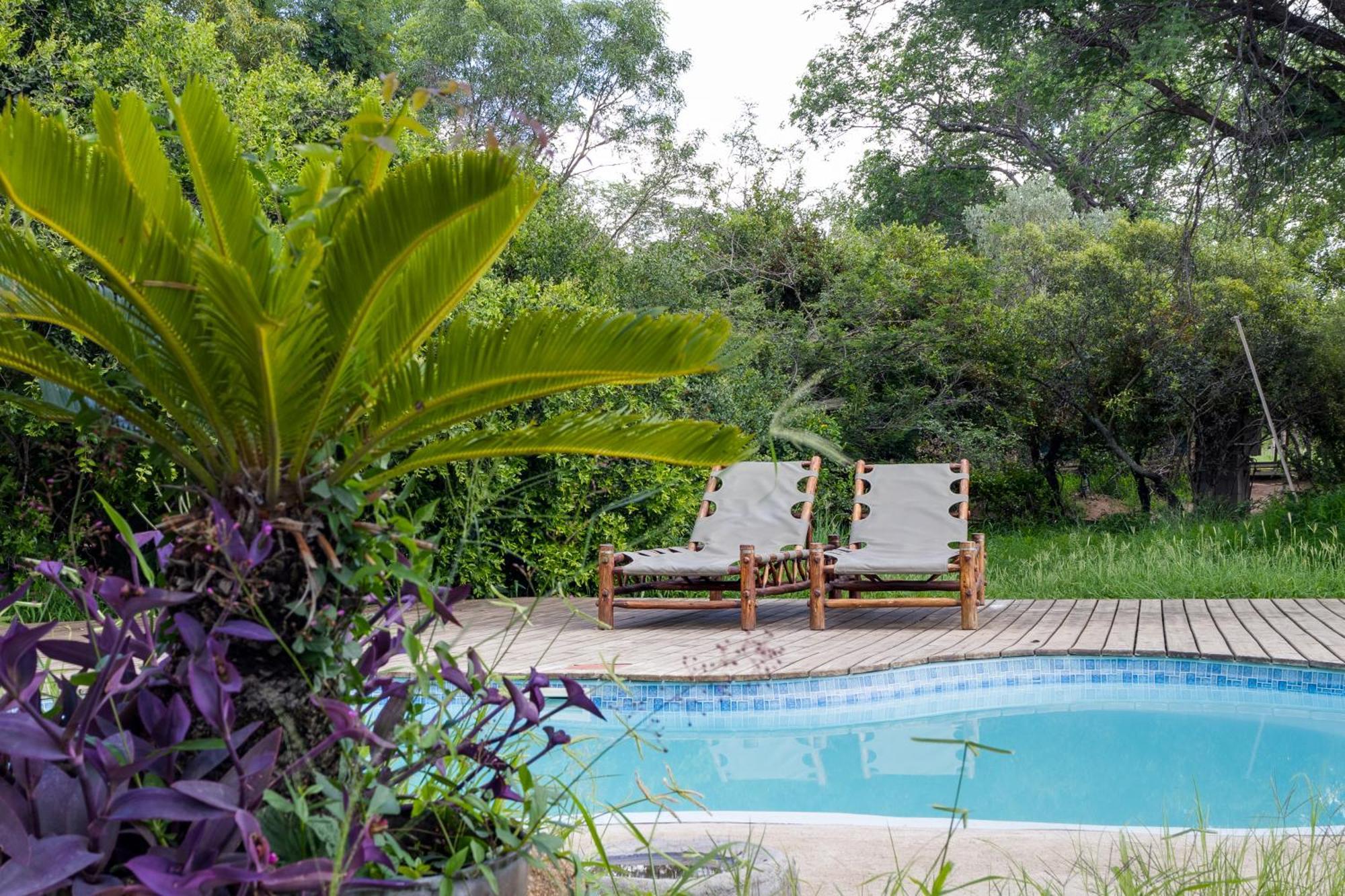 Tangala Safari Camp Villa Thornybush Wildreservaat Buitenkant foto