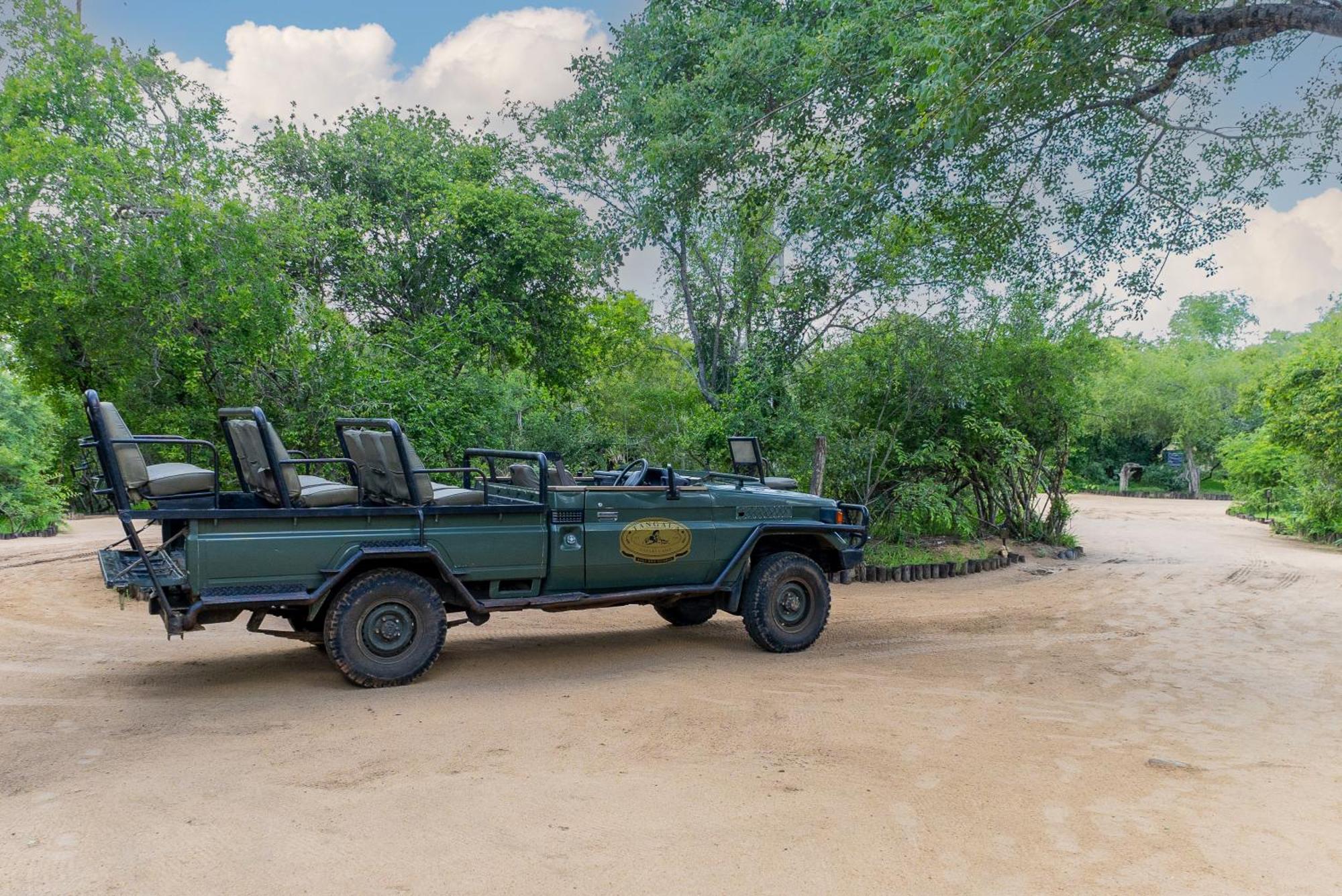 Tangala Safari Camp Villa Thornybush Wildreservaat Buitenkant foto