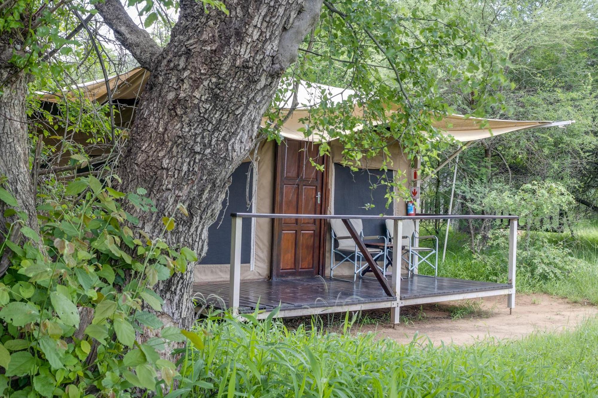 Tangala Safari Camp Villa Thornybush Wildreservaat Buitenkant foto