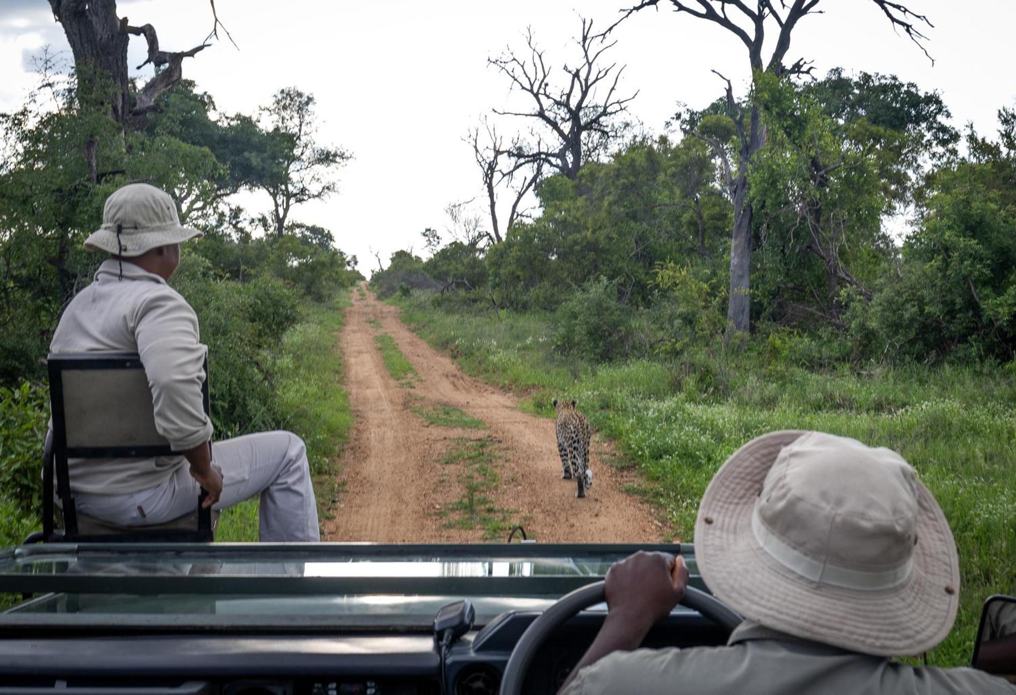 Tangala Safari Camp Villa Thornybush Wildreservaat Buitenkant foto
